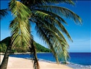 South Glossy Bay beach